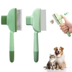 61ZDckoNCLL. SL1500 .jpg