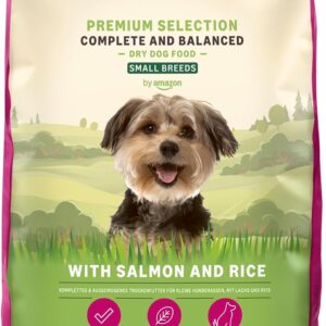 61ZQW4NHiML. AC SL1500 .jpg