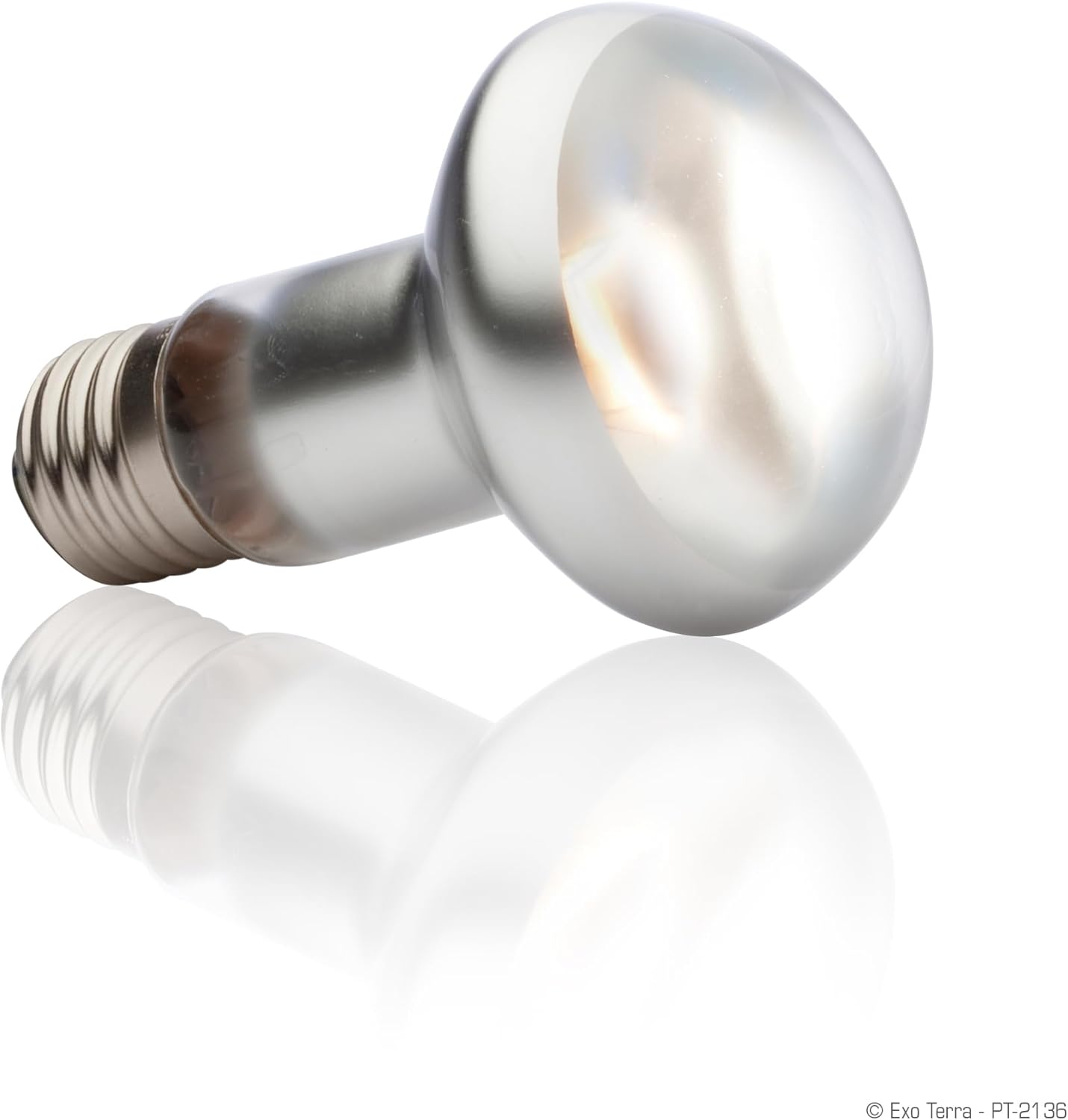 61a6WhInbHL. AC SL1500 .jpg