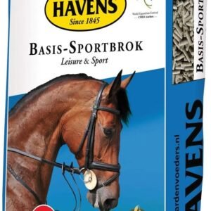 61afCeSOMzL. AC SL1073 .jpg