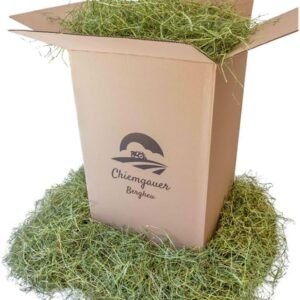 61azPbGhRBL. AC .jpg