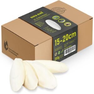 61b1SKwGiwL. AC SL1500 .jpg