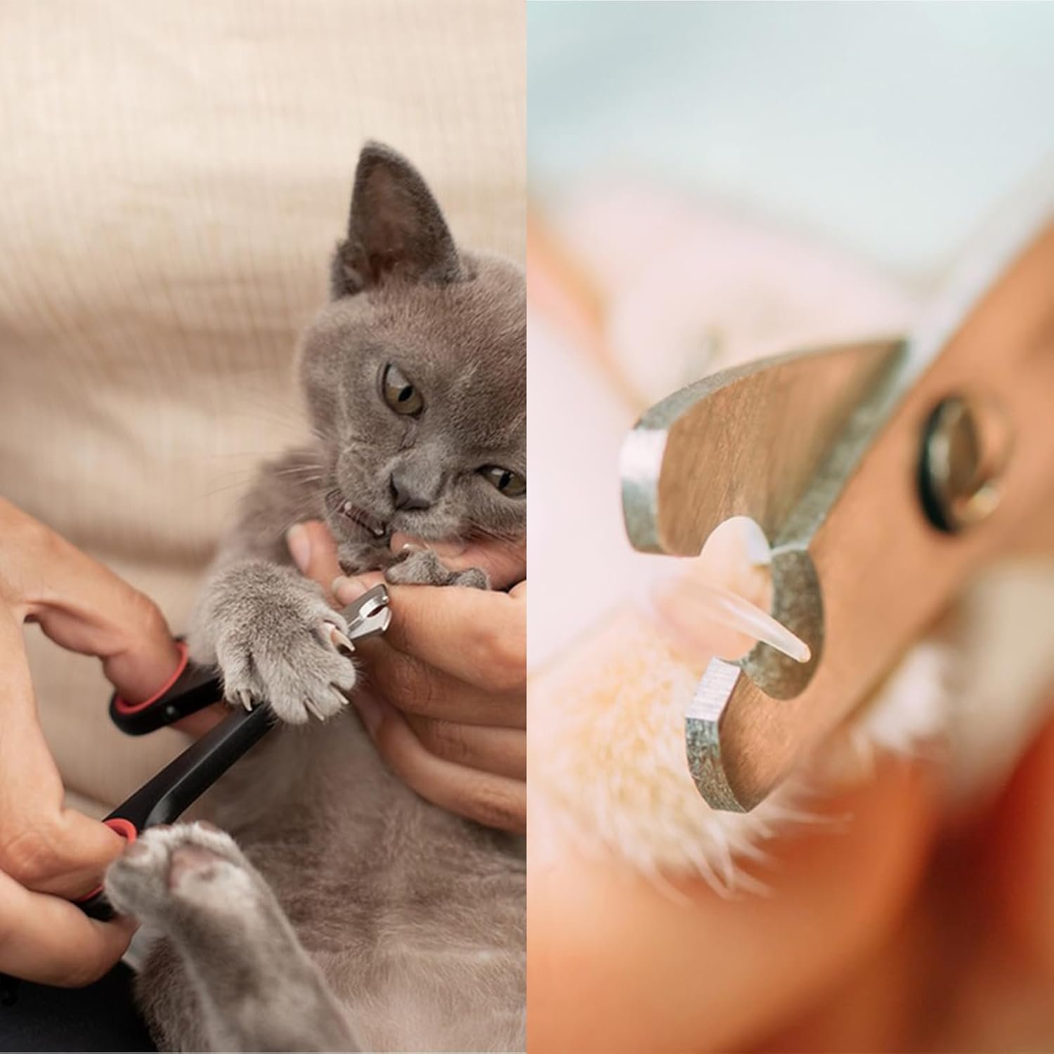 61bHUG8p5dL. AC SL1500 .jpg