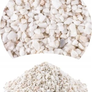 61bOVzA8UwL. AC SL1280 .jpg