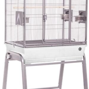 61bPY1geOSL. AC SL1280 .jpg