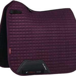 61bVeBVEjtL. AC SL1280 .jpg