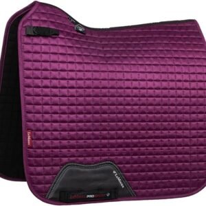 61bZu2CAbL. AC SL1280 .jpg