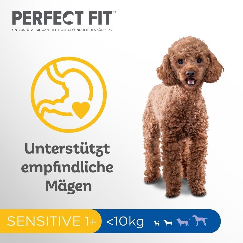 61baGdTRoFL. AC SL1000 .jpg