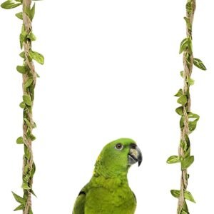 61c6gsk7lvL. AC SL1500 .jpg