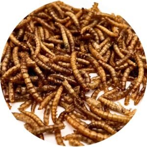 61c822ddmaL. AC SL1293 .jpg