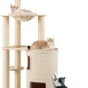 61cq0cF3vbL. AC SL1500 .jpg