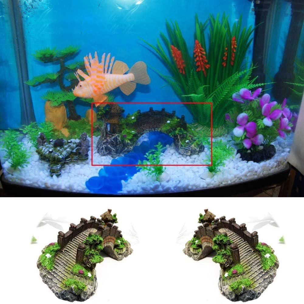 61cxvEYUElL. AC SL1000 .jpg