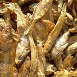 61d wAPwuBL. AC .jpg