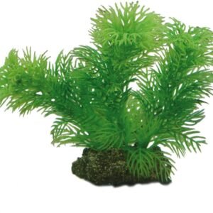 61d10lbrsLL. AC SL1000 .jpg