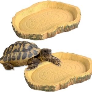 61d1sORr8kL. AC SL1100 .jpg