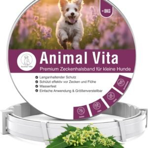 61dIWD ZT0L. AC SL1280 .jpg