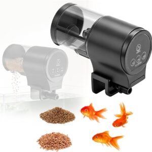 61dLltRUNL. AC SL1001 .jpg