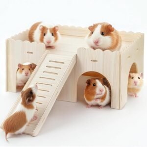 61dQeDHz0 L. AC SL1500 .jpg