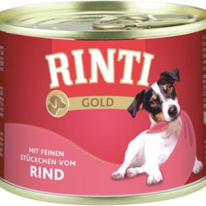 61dTQknQelL. AC SL1280 .jpg