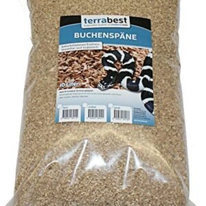 61e76PWw9QL. AC .jpg