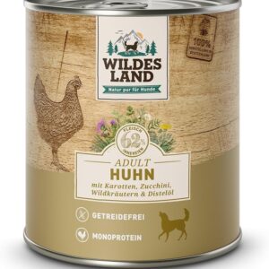 61ekWYJhaL. AC SL1000 .jpg