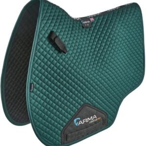 61fcAOoeYFL. AC SL1080 .jpg