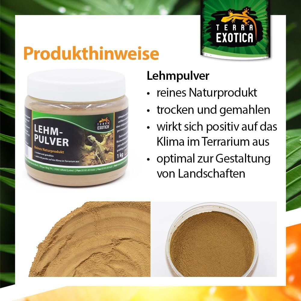 61gm vOIMaL. AC SL1000 .jpg