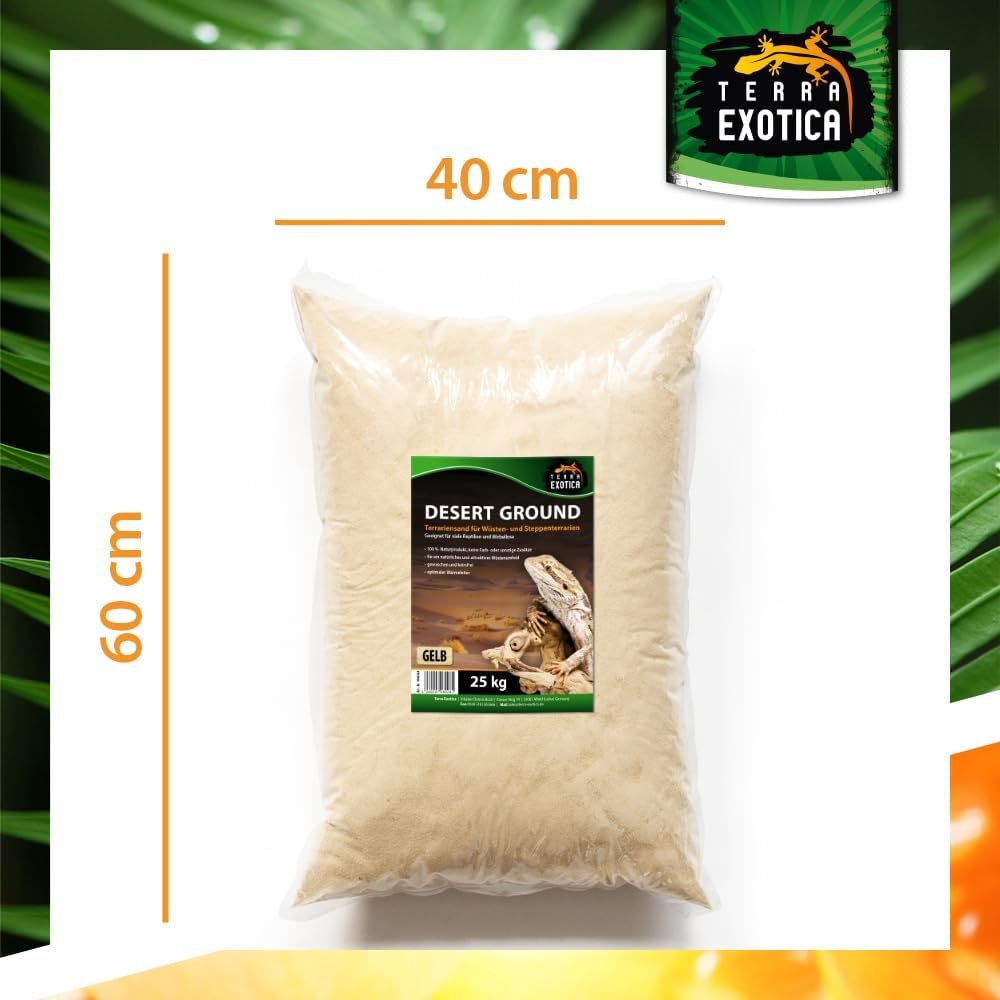 61gsAOTBwLL. AC SL1000 .jpg