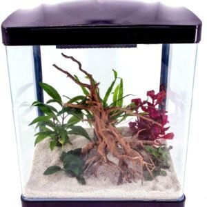 61hR oBsZxL. AC SL1000 .jpg