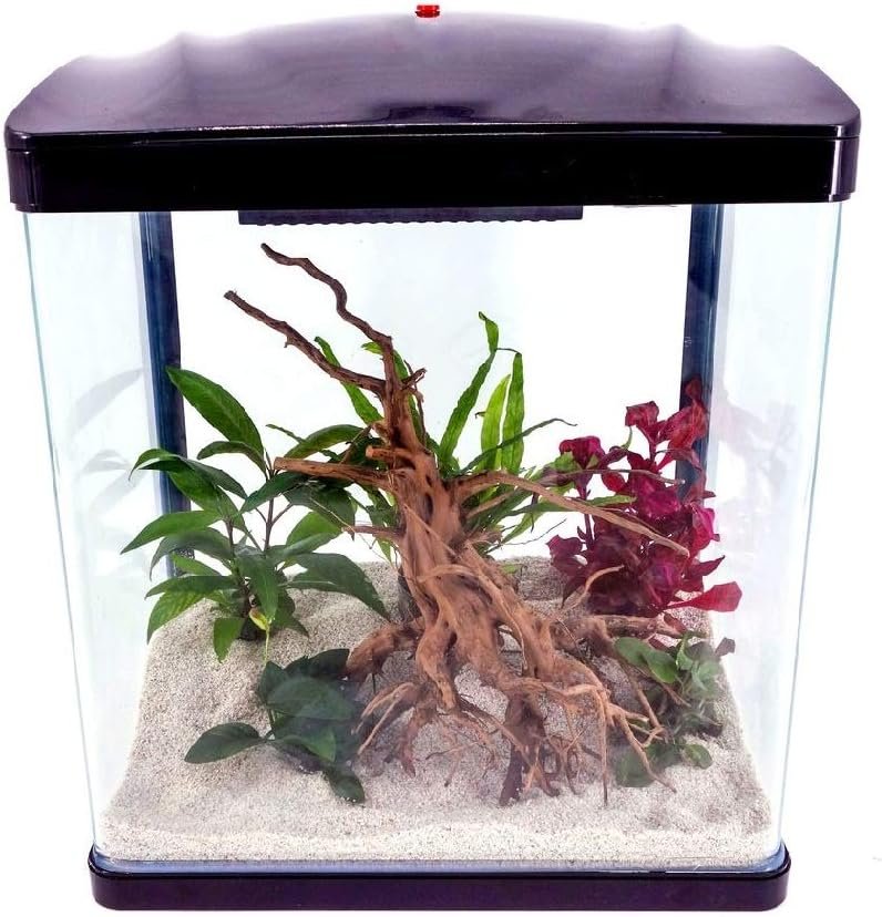 AquaOne HR-300 Aquarium Komplettset LED mit Pumpe schwarz I kleines Nano-Aquarium 14 Liter I Mini-Nano-Becken-Set für Fische und Garnelen AquaOne HR-300 Aquarium Komplettset LED mit Pumpe schwarz I kleines Nano-Aquarium 14 Liter I Mini-Nano-Becken-Set für Fische und Garnelen