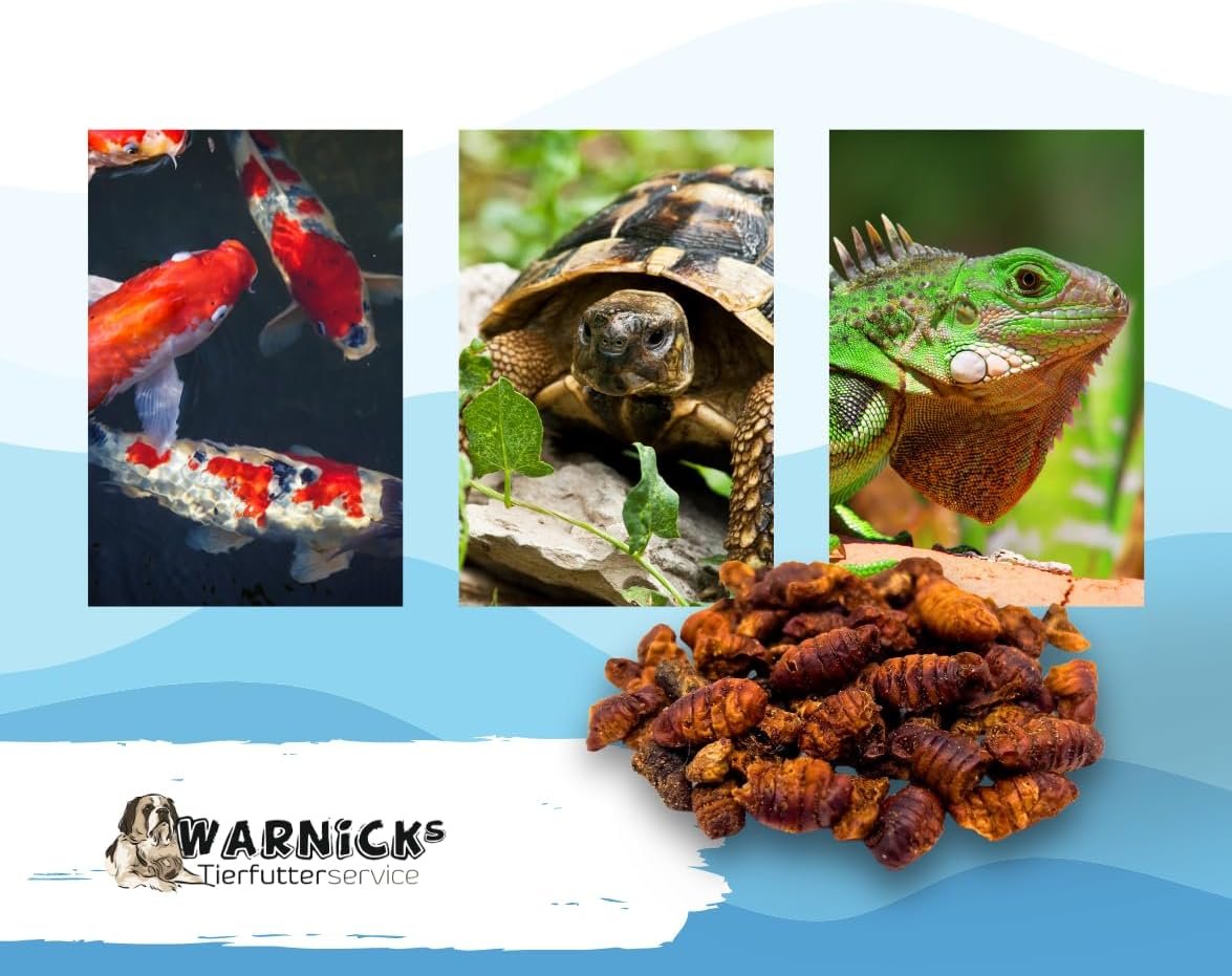 61hazuxDERL. AC SL1175 .jpg