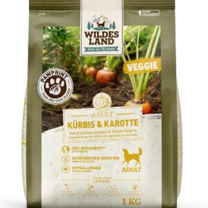 61hlvfR9w2L. AC SL1000 .jpg