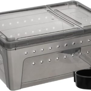 61iTzLiLV3L. AC SL1280 .jpg