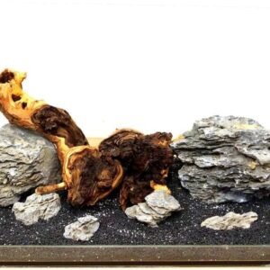 61ip16OSgsL. AC SL1000 .jpg