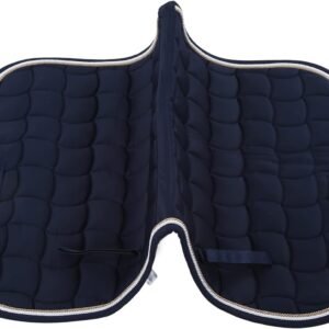 61jE7PX0gjL. AC SL1500 .jpg