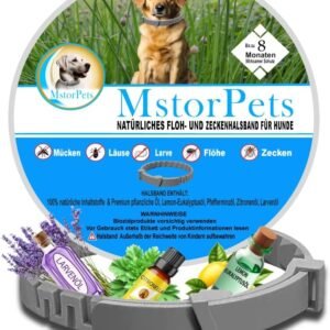 61jHCQwuuvL. AC SL1000 .jpg