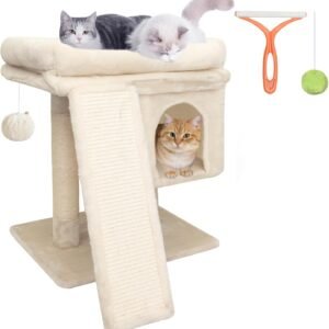 61jgbRKYJpL. AC SL1500 .jpg