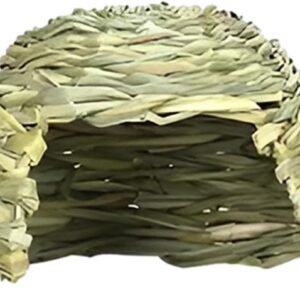 61jrREkYkL. AC SL1500 .jpg