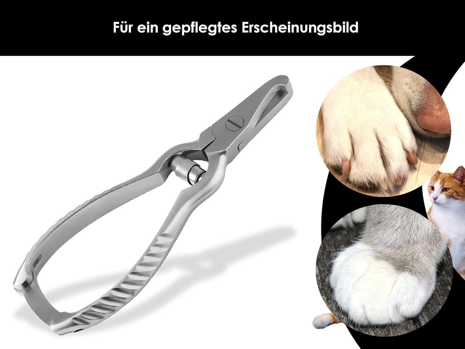 61jvk JIuhL. AC SL1500 .jpg