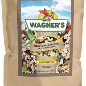 61jy6MuGxjL. AC SL1280 .jpg