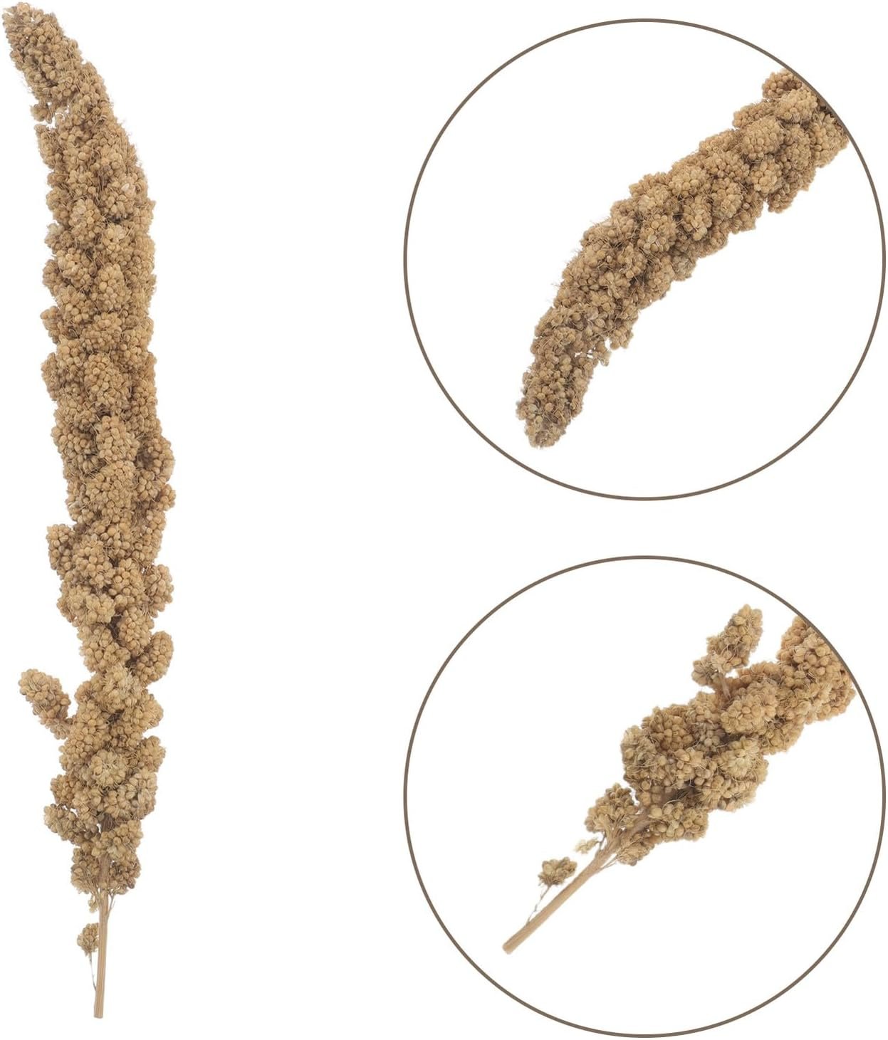 61kxRGeveRL. AC SL1500 .jpg