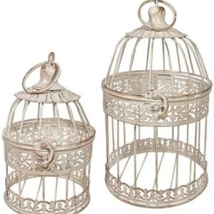 61lSnGONyLL. AC SL1000 .jpg