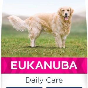 61lapIAQURL. AC SL1000 .jpg