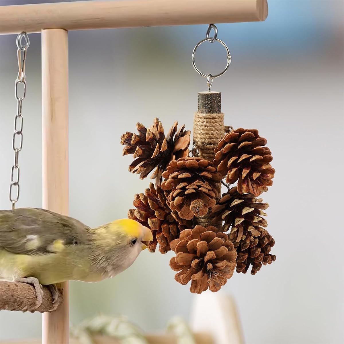 61lapQXBZUL. AC SL1200 .jpg