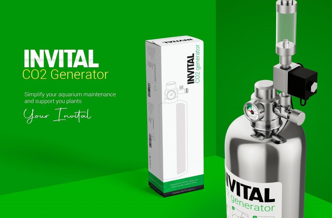 61loa3hG KL. AC SL1280 .jpg