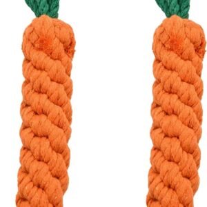 61mP98tQPnL. AC SL1500 .jpg