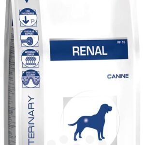 61mTjxlZFL. AC SL1280 .jpg