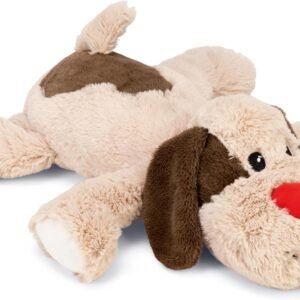 61maasTOEDL. AC SL1500 .jpg