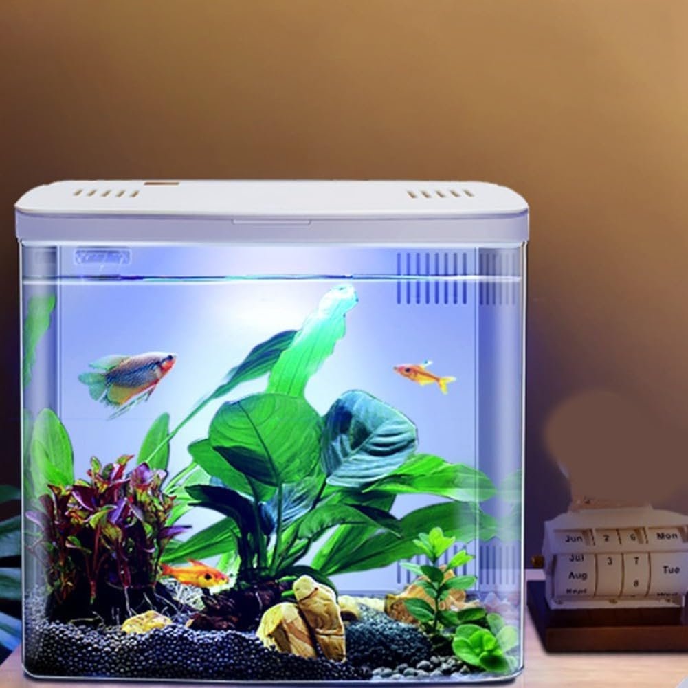 61mbex95K2L. AC SL1001 .jpg