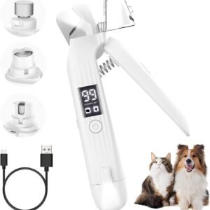 61mkRX4toLL. AC SL1500 .jpg